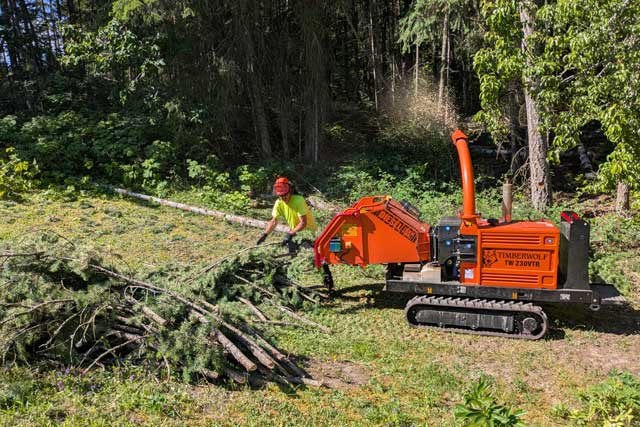 Chipping and wood chips